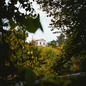 Превью обои дом, здание, кусты, деревья, природа