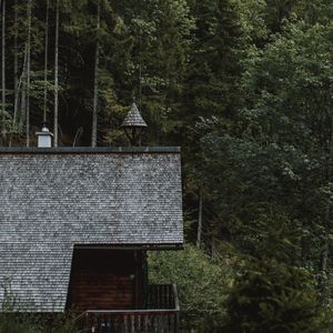 Превью обои дом, здание, лес, деревья, природа