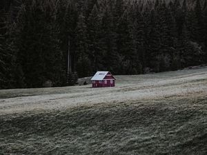 Превью обои дом, здание, лес, поле, трава