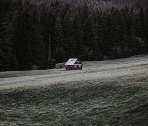 Превью обои дом, здание, лес, поле, трава