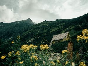 Превью обои дом, здание, скалы, цветы, трава