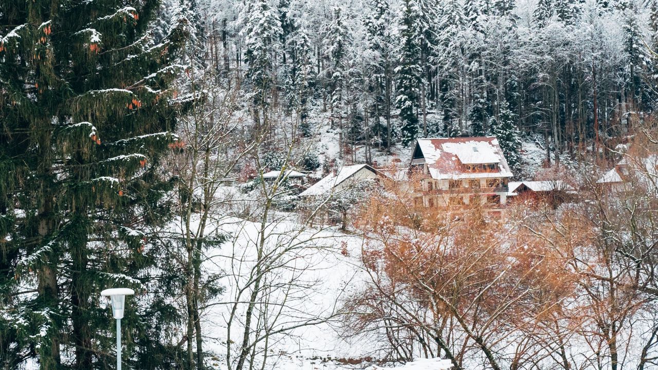 Обои дома, деревья, снег, зима