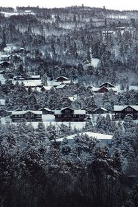 Превью обои дома, деревья, заснеженный, зима, пейзаж