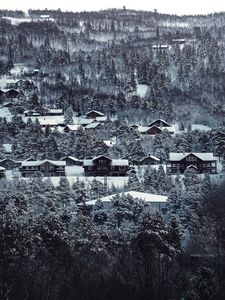 Превью обои дома, деревья, заснеженный, зима, пейзаж