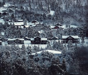 Превью обои дома, деревья, заснеженный, зима, пейзаж