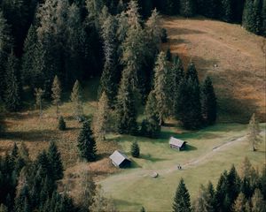 Превью обои дома, лес, деревья, тропинка