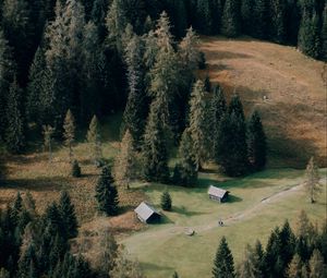 Превью обои дома, лес, деревья, тропинка