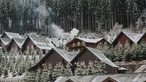 Превью обои дома, лес, склон, снег, зима, природа