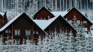 Превью обои дома, лес, снег, зима, природа