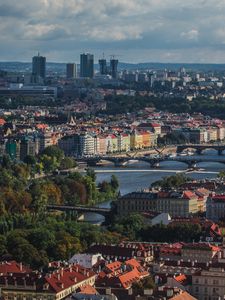 Превью обои дома, здания, небоскребы, архитектура, деревья, город