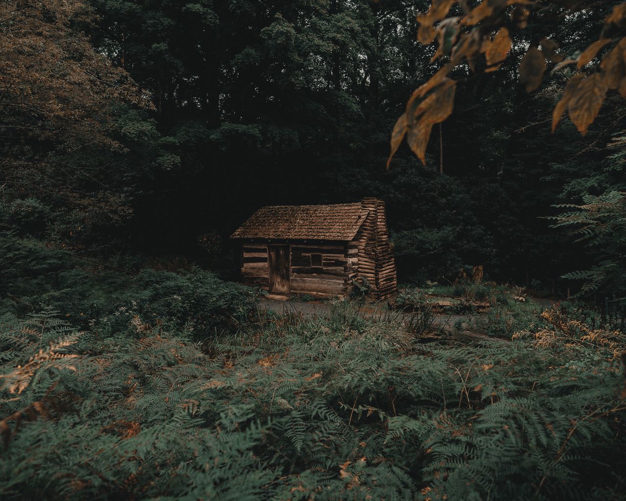 Картина из фильма Хижина в лесу