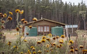 Превью обои домик, лес, деревья, цветы, пейзаж