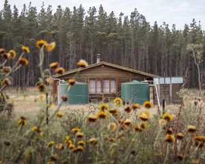 Превью обои домик, лес, деревья, цветы, пейзаж