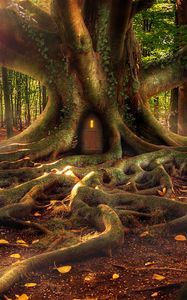 Превью обои домик, лес, дерево, корни, фантазия