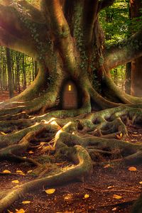 Превью обои домик, лес, дерево, корни, фантазия