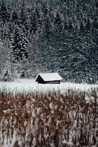 Превью обои домик, лес, снег, опушка, зима