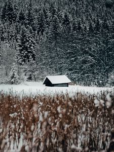 Превью обои домик, лес, снег, опушка, зима