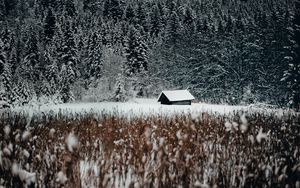 Превью обои домик, лес, снег, опушка, зима