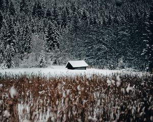 Превью обои домик, лес, снег, опушка, зима