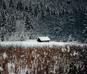 Превью обои домик, лес, снег, опушка, зима