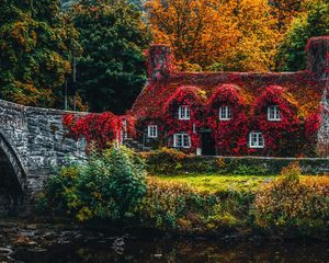 Превью обои домик, осень, река, листва, краски осени