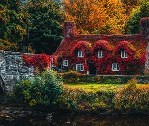 Превью обои домик, осень, река, листва, краски осени