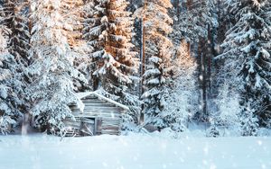 Превью обои домик, снег, деревья, зима, снегопад, свет