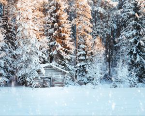 Превью обои домик, снег, деревья, зима, снегопад, свет