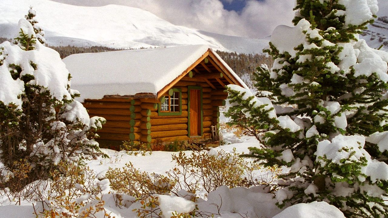 Обои домик, снег, деревья, канада, британская колумбия, кусты, ель