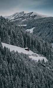 Превью обои домик, снег, возвышенность, лес, зима, деревья, небо