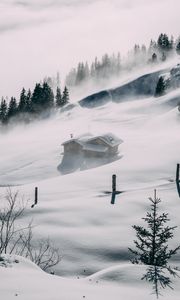 Превью обои домик, снег, возвышенность, туман, деревья