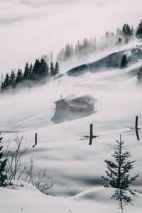 Превью обои домик, снег, возвышенность, туман, деревья