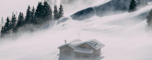 Превью обои домик, снег, возвышенность, туман, деревья