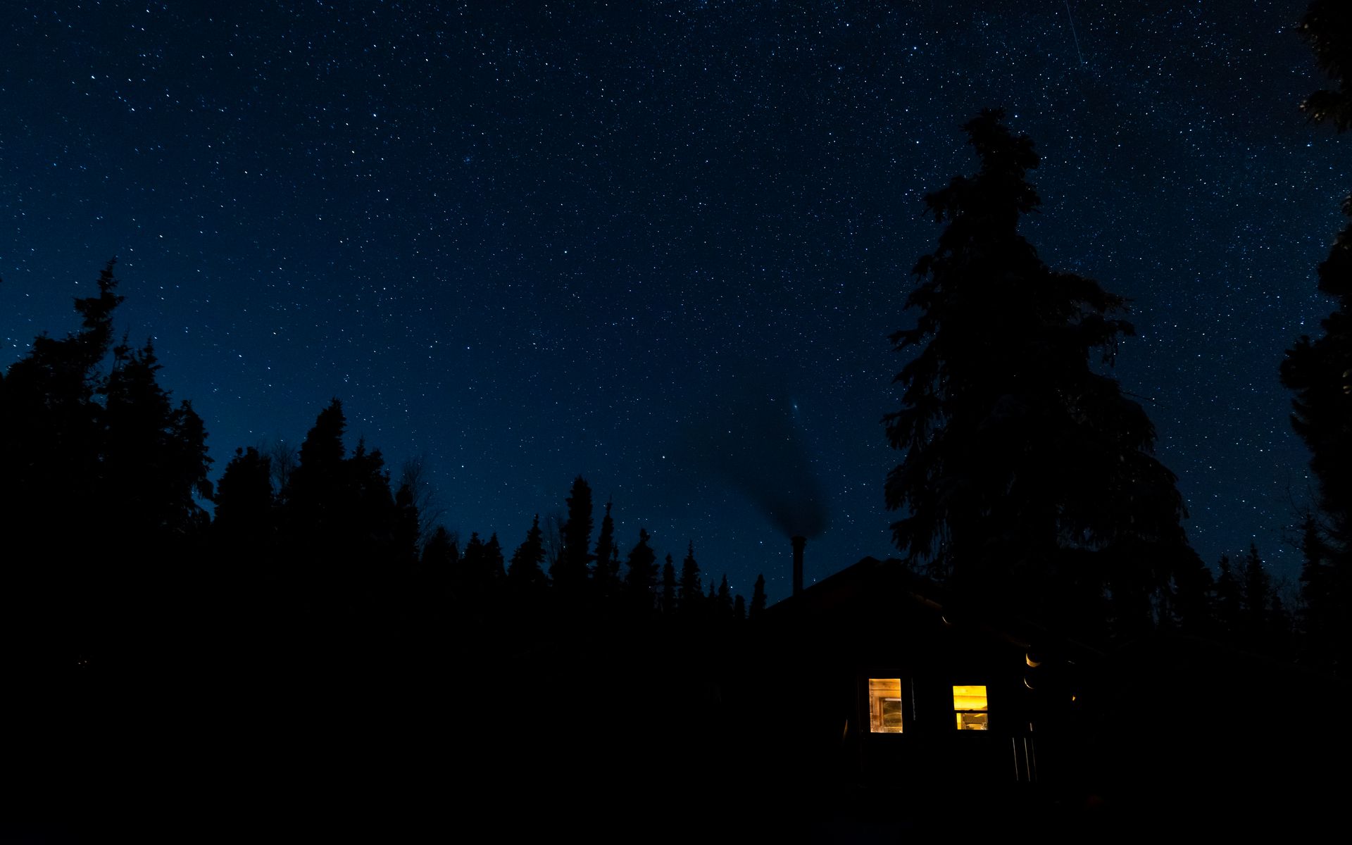 Фон леса для фотошопа ночью