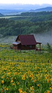 Превью обои домик, цветы, поле, пейзаж, природа