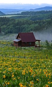 Превью обои домик, цветы, поле, пейзаж, природа