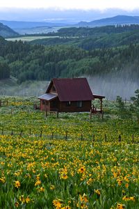 Превью обои домик, цветы, поле, пейзаж, природа