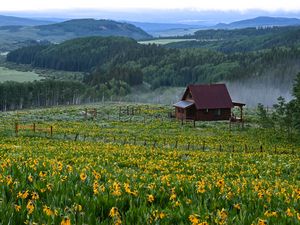 Превью обои домик, цветы, поле, пейзаж, природа