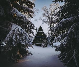 Превью обои домик, зима, снег, лес, уют