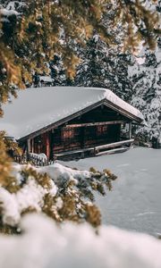 Превью обои домик, зима, снег, деревья, ветки, уют