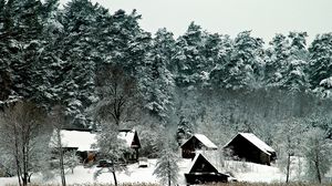 Превью обои домики, деревья, могучие, зима, снег