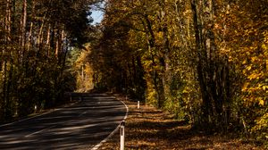 Превью обои дорога, аллея, осень, деревья