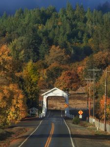 Превью обои дорога, арка, лес, осень