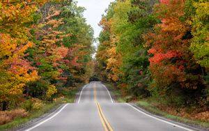Превью обои дорога, асфальт, лес, осень, деревья, природа