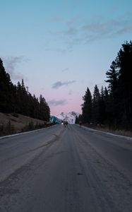 Превью обои дорога, асфальт, олени, природа, сумерки