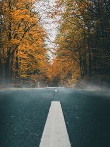 Превью обои дорога, асфальт, осень, разметка