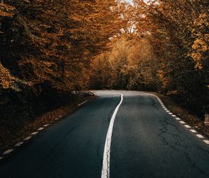 Превью обои дорога, асфальт, поворот, деревья, осень