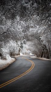 Превью обои дорога, асфальт, поворот, деревья, снег, зима