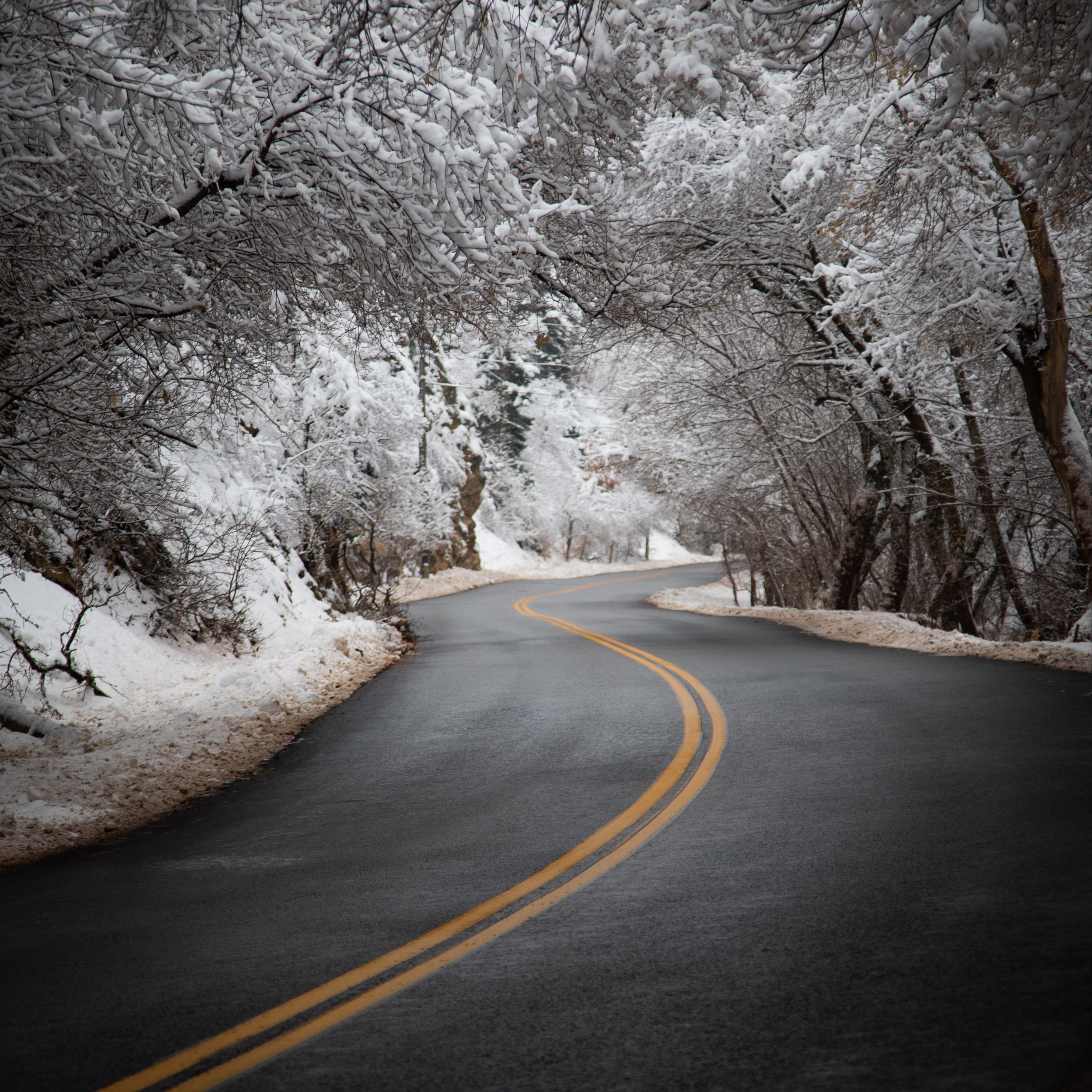 Без дорог видео. Снежная дорога. Зима дорога. Заснеженная дорога. Снег на дороге.