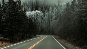 Превью обои дорога, асфальт, поворот, лес, деревья, снег, зима